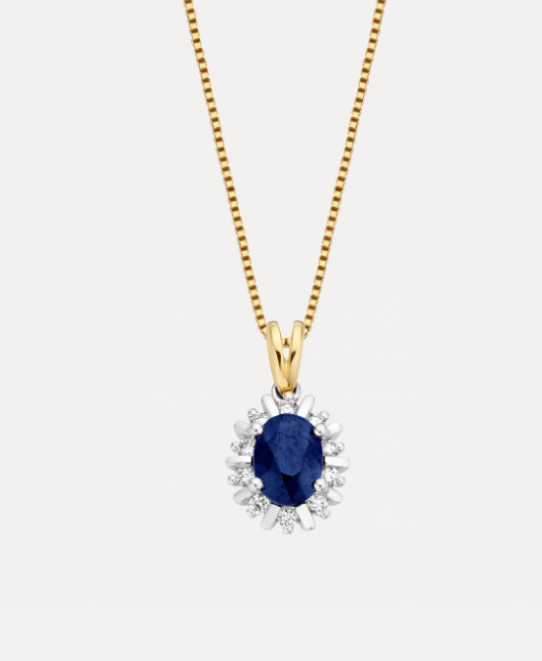 14 KARAAT BICOLOR WIT- MET GEEL GOUDEN HANGER MET BRILJANT EN BLAUW SAFFIER MODEL LADY KATE. Model LADY KATE geeft je koninklijke allures, met 0.15 caraat briljant geslepen diamanten en een prachtige saffier als eye catcher, Schitterend als set te combineren met ring en oorsieraden. Deze hanger wordt zonder collier geleverd.
